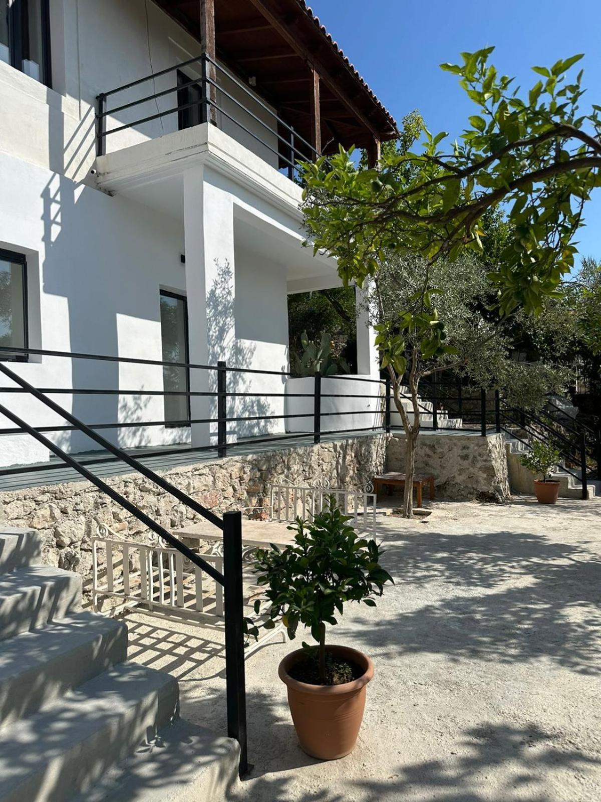 Leilighet Mediteran Boutique *